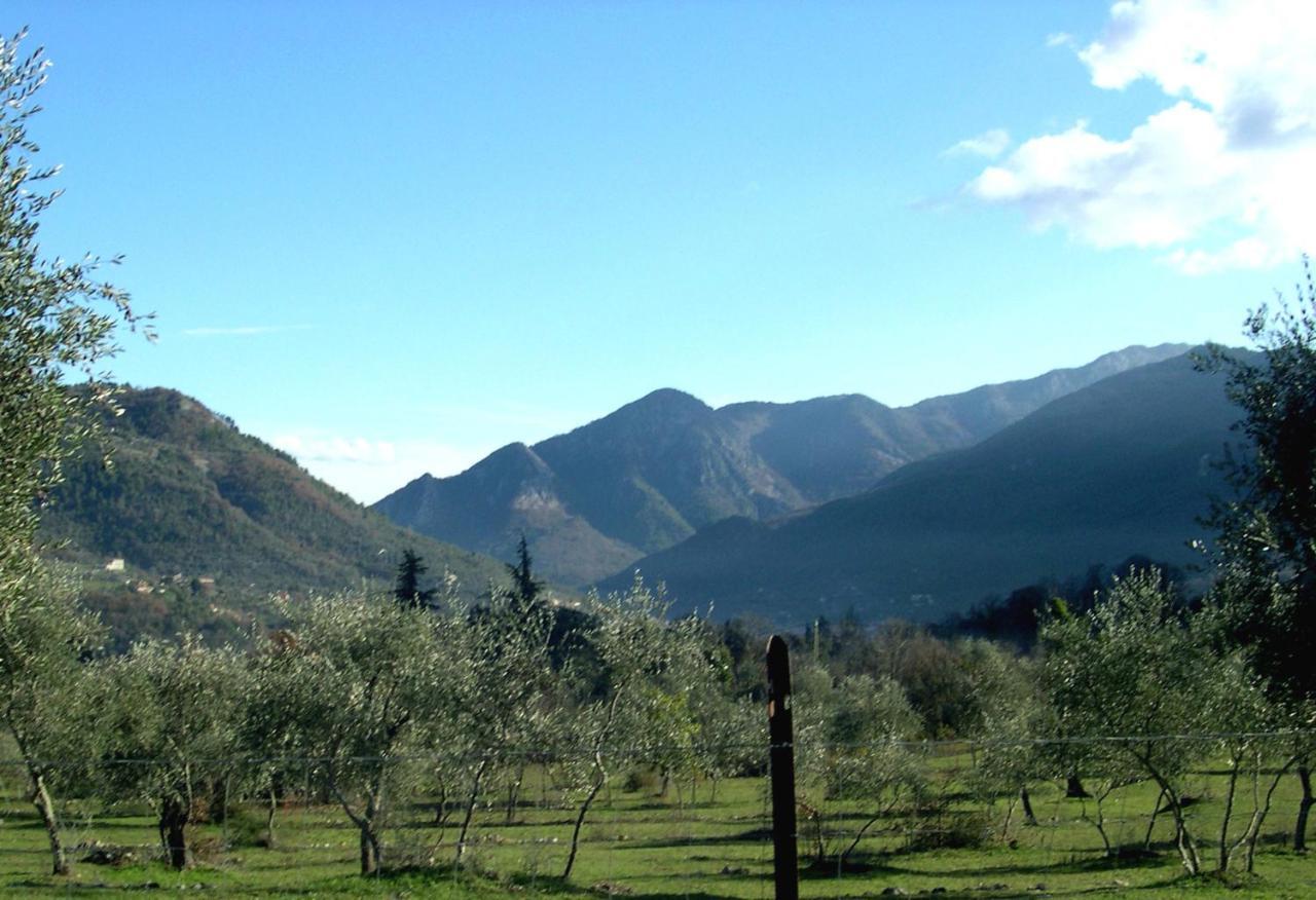 سوسبيل Domaine Du Parais B&B المظهر الخارجي الصورة