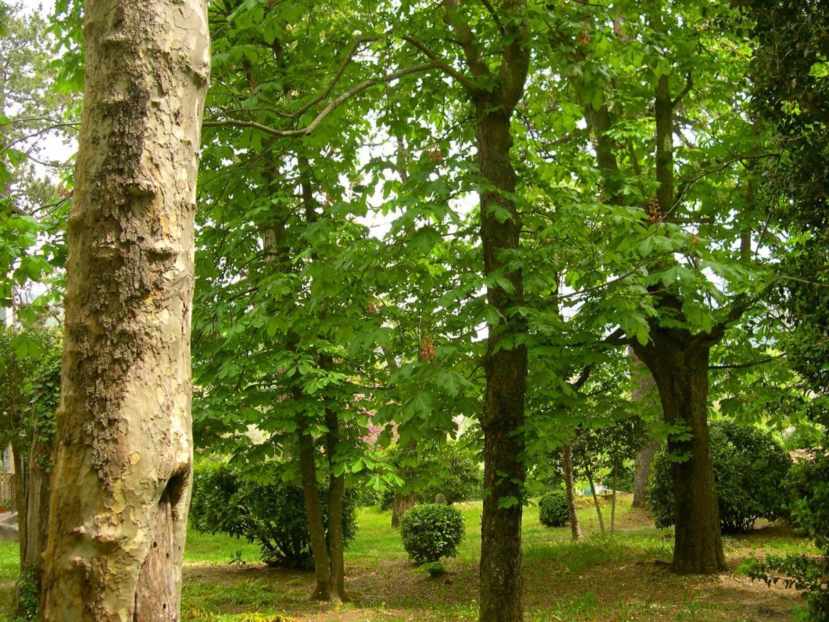 سوسبيل Domaine Du Parais B&B المظهر الخارجي الصورة